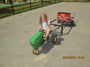 OAI LAKE SHORE 2013 008