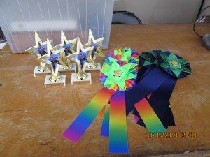 voelker implement 2013 002