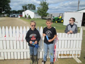 OSCEOLA COUNTY FAIR 2014 007