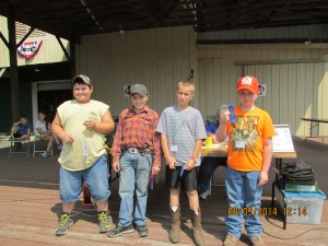 JACKSON COUNTY FAIR 2014 006