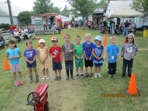 armanda thur 15 clysdale horses 003