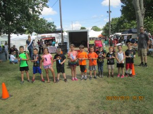 armanda thur 15 clysdale horses 004