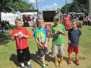 armanda thur 15 clysdale horses 006