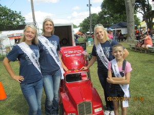 armanda thur 15 clysdale horses 009